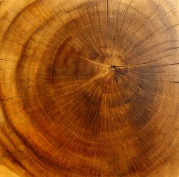 Close up wood texture background Stock Photos