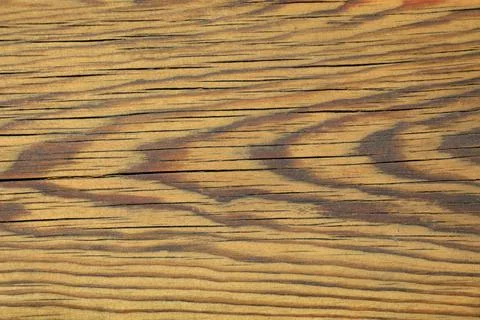 Close-up of Wood Texture Stock Photos