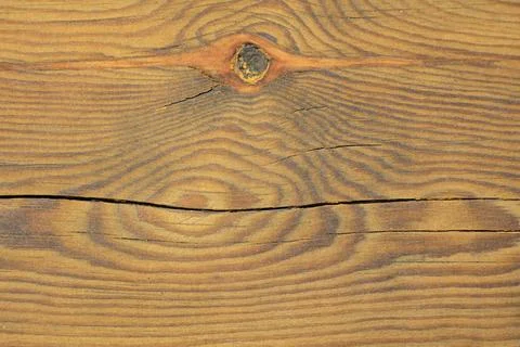 Close-up of Wood Texture Stock Photos