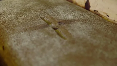 Close-Up of Wooden Bread Trough with a Dough of Loaf of Bread Before Baking. Stock Footage 306401073