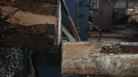 Close Up Of Wooden Log Moving Inside Automated Processing Machine At Workshop Stock Footage 163493016