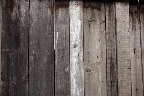 Close up of wooden texture background Stock Photos
