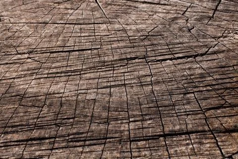 Close up wooden texture background Stock Photos