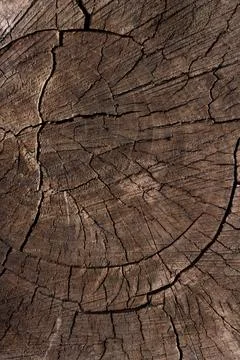 Close up wooden texture background Stock Photos