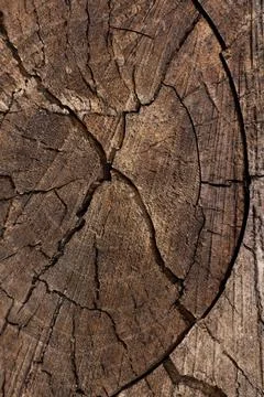 Close up wooden texture background Stock Photos