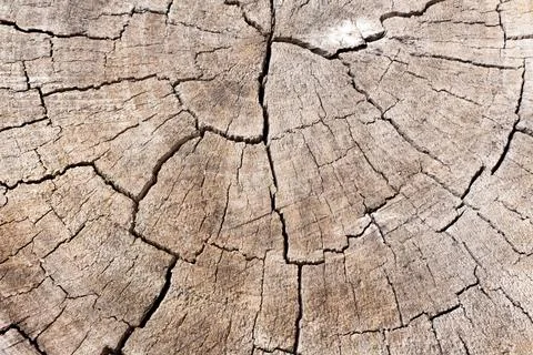 Close up wooden texture background Stock Photos