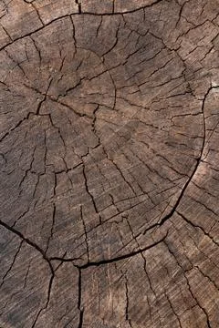 Close up wooden texture background Stock Photos