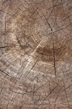 Close up wooden texture background Stock Photos