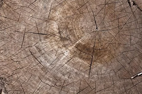 Close up wooden texture background Stock Photos