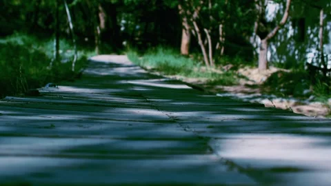 A close-up of a wooden walkway path under the shade of trees. Stock Footage 294029071