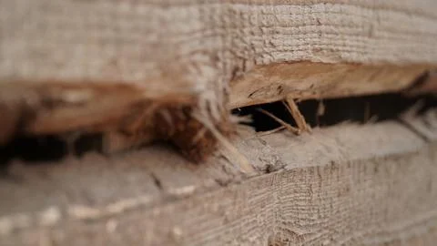 Close-Up of Wooden Wall Structure with Missing Elements Stock Photos