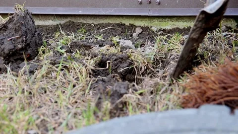 Close-up of a worker digging the ground with a shovel near a building found.. 動画素材 341673172