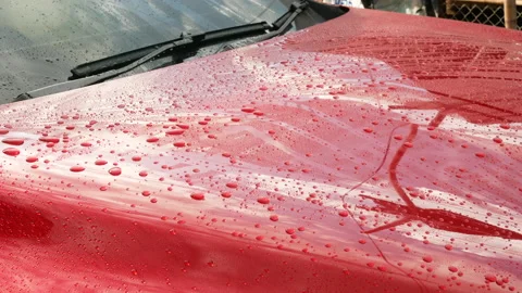 Close-up of worker holding a high-pressure water sprayer for washing car. Stock Footage 138335118