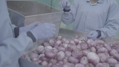 Close-up of worker peeling red onions in food processing facility Stock-Footage 327442560