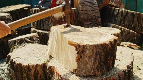 Close-up of a worker splitting a large log with an axe, with wood pieces and Stock Footage 304332783