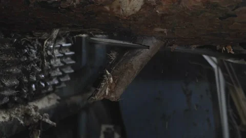 Close Up Of Worker Using Equipment To Manually Saw Off Wooden Log Branch Stock Footage 169986039