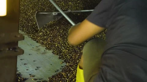 Close up of worker with yellow boots use shovel to offload palm fruits 스톡 동영상 252346709