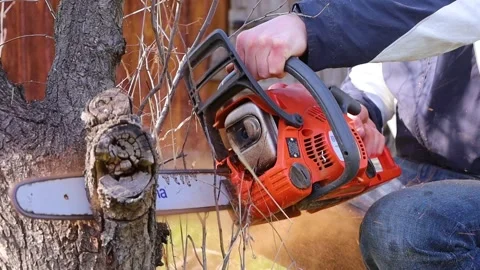 Close up working chainsaw in hands of male worker lumberjack Stock Footage 153138716