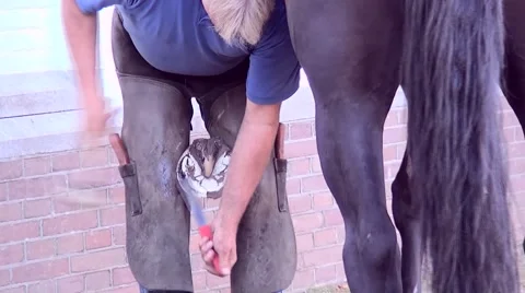 Close Up of working farrier Stock Footage 68749072
