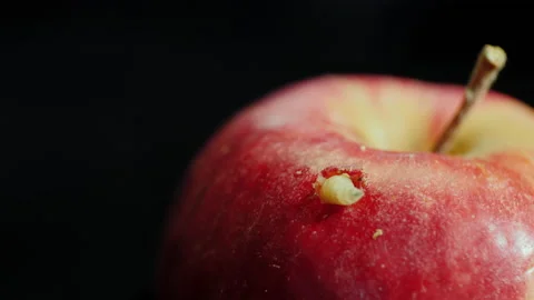 Close-up of the worm will come out of the apple Stock Footage 138552122