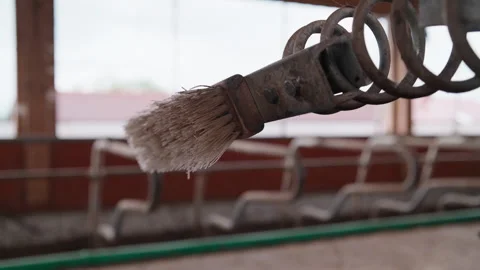 Close-Up of a Worn Cow Scratching Brush on a Spring Mount in a Cowshed Stock Footage 345063505