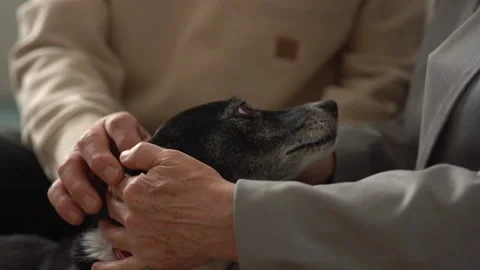 Close-up of the wrinkled hands of an unrecognizable elderly couple looking at Stock Footage 169179833