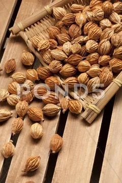 Close-up of Xiangsha Stock Photos