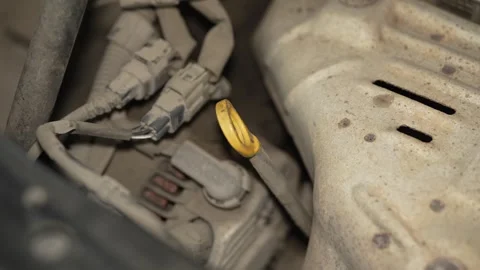 A close up of a yellow car engine oil dipstick handle. Vidéo 342729905