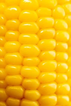 Close up of yellow corn kernels on the cob Stock Photos