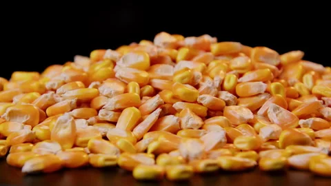 Close-up of Yellow Corn Kernels Piled Against Black Background Stockbeeldmateriaal 334829994