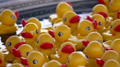 Close up of yellow duck float in water at the West Coast Amusements Carnival Video stock 74215150