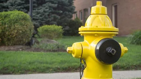 Close-up of a yellow fire hydrant with a black hose cover in front of a lawn Stock Photos