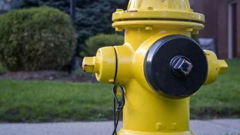 Close-up of a yellow fire hydrant with a black hose cover in front of a lawn Stock Photos