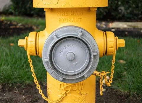 Close-up of yellow fire hydrant hose connection Stock Photos
