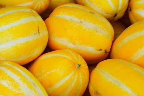 Close up of yellow korean melons. Stock Photos