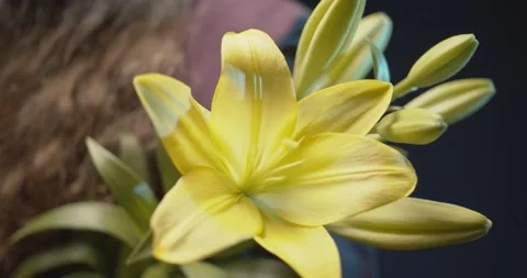 Close up of yellow lilies, focus on foreground woman in the background Stock Footage