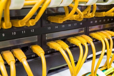 Close up of yellow network cables connected to switch Stock Photos