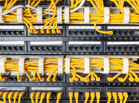 Close up of yellow network cables connected to switch Stock Photos