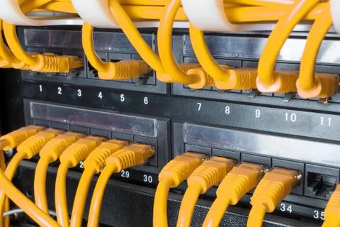 Close up of yellow network cables connected to switch Stock Photos