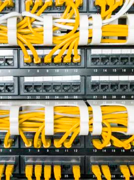 Close up of yellow network cables connected to switch Stock Photos