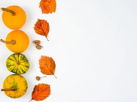 Close-up  of   yellow pumpkins  and     rusty leaves  on white  backdrop Stock Photos