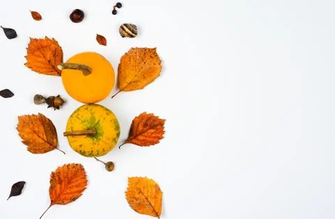 Close-up  of   yellow pumpkins  and     rusty orange  leaves  on white  paper Stock Photos