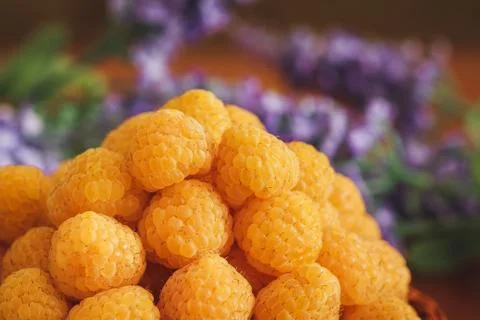 Close up of yellow raspberry Stock Photos