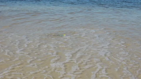 Close-up on a yellow rose floating in the sea waves. Stock Footage 146015529