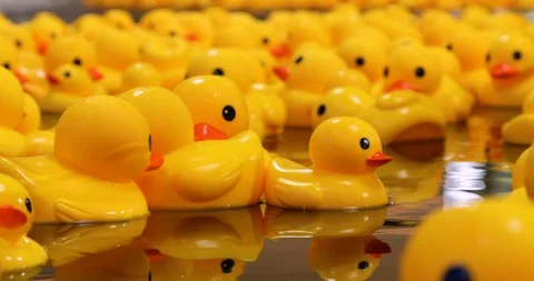 Up Close Of Yellow Rubber Ducks And Their Reflections On The Water Видео 119847007
