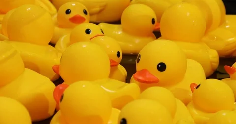 Close Up Of Yellow Rubber Ducks Floating On Water Видео 119847179