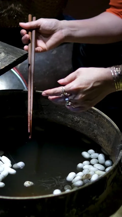 Close up of yellow silk cocoons being unraveled into fine silk threads from hot Stock Footage 318228332