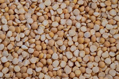Close up yellow split peas texture revealing tight pattern of individual kern 写真素材