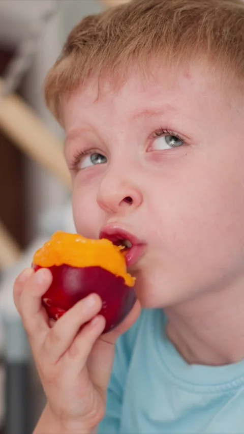 Close up of young boy eating red apple with partially removed orange peel while Stock Footage 344790418