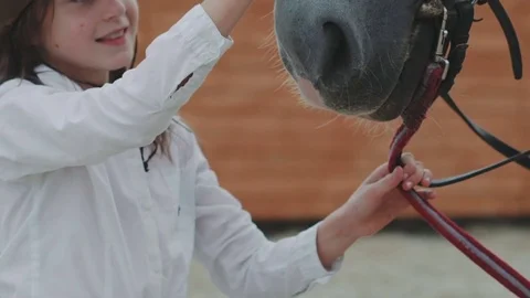 Close up of young girl caressing horse's nose . Slowly Stock Footage